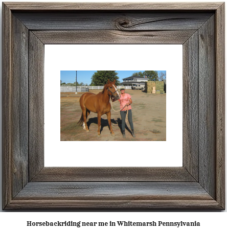 horseback riding near me in Whitemarsh, Pennsylvania